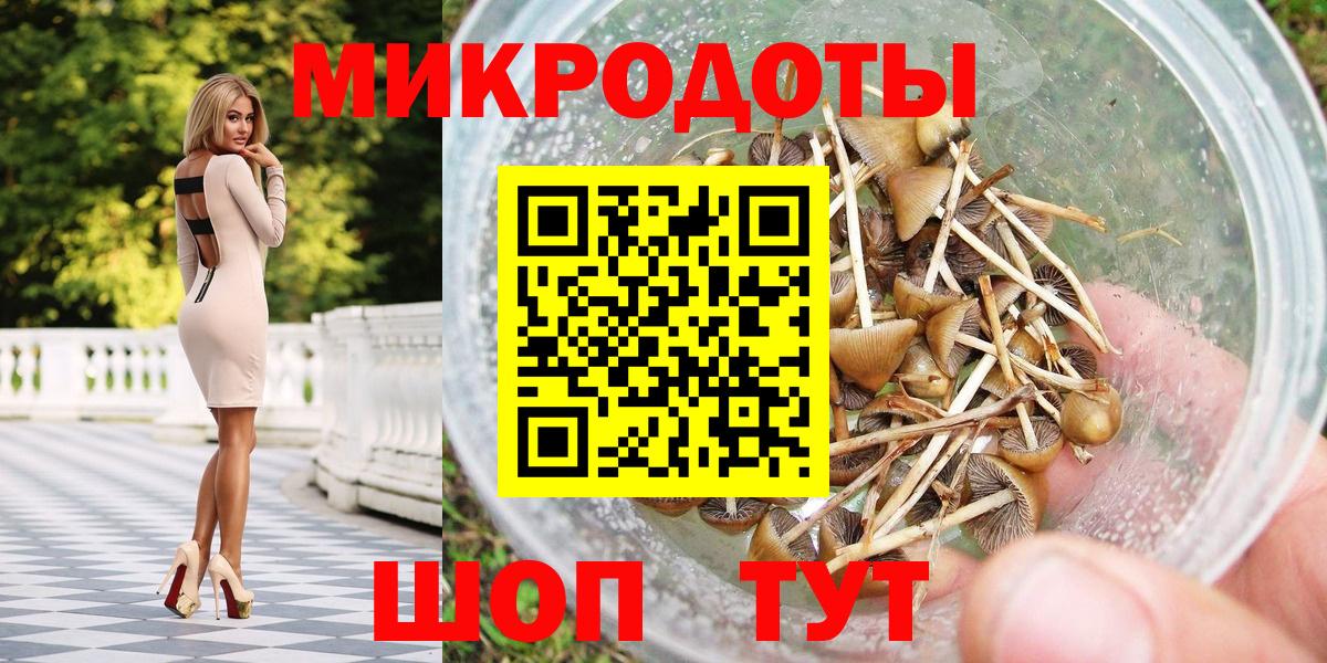 Псилоцибиновые грибы Psilocybe Аксай