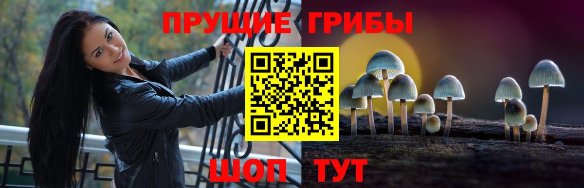 Аксай  Псилоцибиновые грибы ЛСД  Вход с VPN 